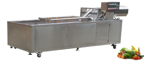 1500Kg / h Gıda İşleme Makineleri İletim Ağı Zinciri Sebze Yıkama Ekipmanları