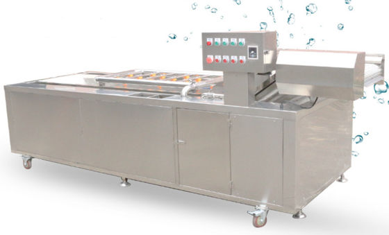1500Kg / h Gıda İşleme Makineleri İletim Ağı Zinciri Sebze Yıkama Ekipmanları