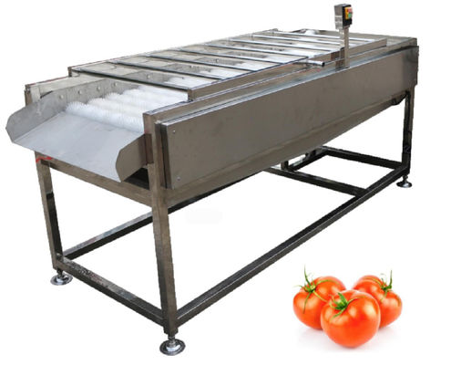 500kg / h Gıda İşleme Tesisi Ekipmanları, Sebze Meyve Fırçası Yıkayıcı