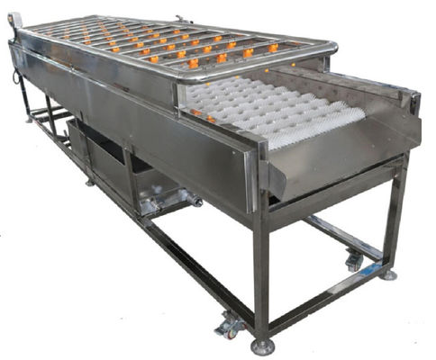 3.35KW Gıda İşleme Makineleri, 1000kg / h Sprey Temizleme Makinesi