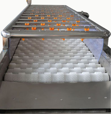 3.35KW Gıda İşleme Makineleri, 1000kg / h Sprey Temizleme Makinesi