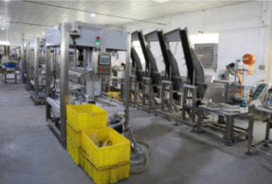 20KW Şişe Dolum Kapatma Makinesi, 1.2T Otomatik Shrink Sarma Makinesi