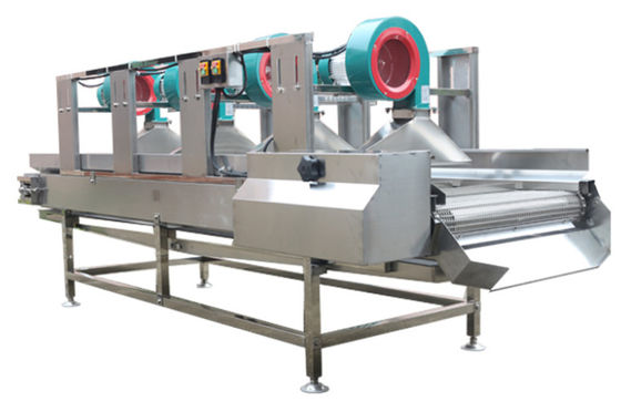 SS304 Gıda İşleme Makineleri, 500kg / h Hava Kuru Meyve Makinesi