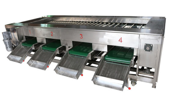 2000kg / h Gıda İşleme Makineleri, Sebze Meyve Ayırma Ekipmanları