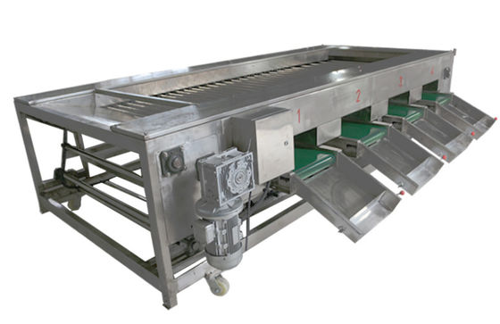 2000kg / h Gıda İşleme Makineleri, Sebze Meyve Ayırma Ekipmanları